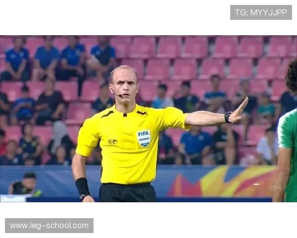 中超第22轮海港对阵津门虎 约旦裁判马哈德迈执法比赛 中超第22轮海港对阵津门虎 约旦裁判马哈德迈执法比赛